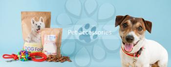 Cute Jack Russel terrier with tasty pet food and accessories on color background�