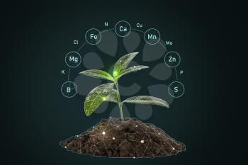 Heap of soil with specified components and young plant on dark background�