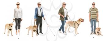 Collage of blind people with guide dog on white background�