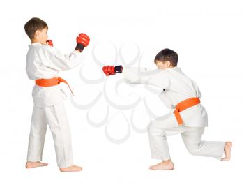 Royalty Free Photo of Two Young Boys Doing Martial Arts