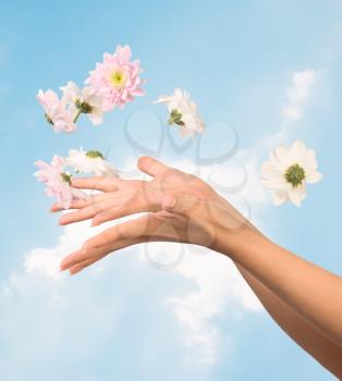 image of beautiful female hands with flower against the sky