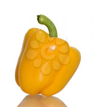 yellow bell pepper isolated on white Background 