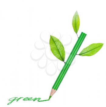 Green pencil with green leaves isolated on a white background 