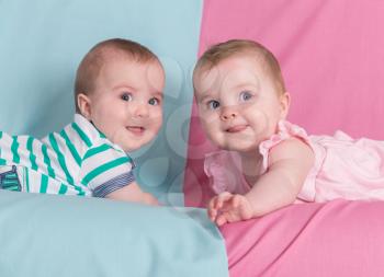 brother and sister - twins babies girl and boy on pink and blue background