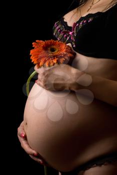 Royalty Free Photo of a Pregnant Woman in a Bra Holding a Flower