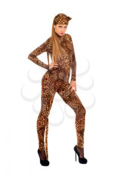 Pretty young woman dressed as a leopard. Isolated