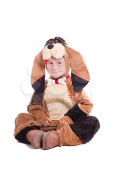 Beautiful little boy posing in a dog costume. Isolated on white