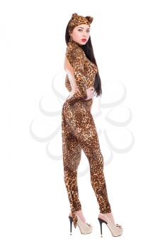 Seductive young woman in leopard suit. Isolated on white