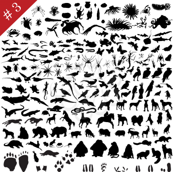 Royalty Free Clipart Image of a Set of Animal Silhouettes
