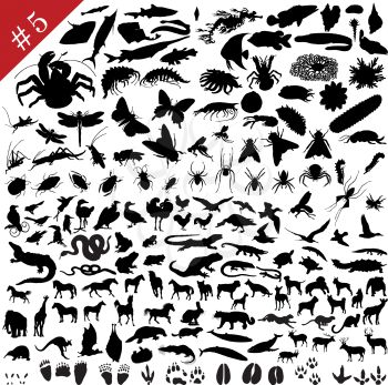 Royalty Free Clipart Image of Bug Silhouettes 