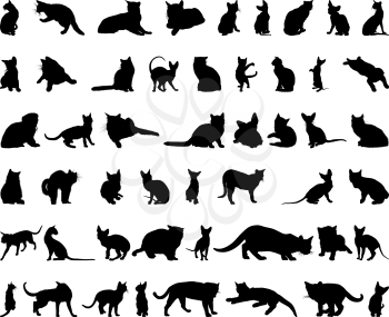 Royalty Free Clipart Image of Cat Silhouettes 