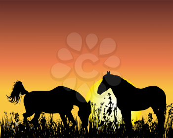 Royalty Free Clipart Image of Horses at Sunset 