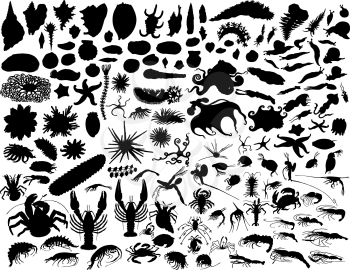 Royalty Free Clipart Image of a Mollusk and Invertebrate Silhouettes