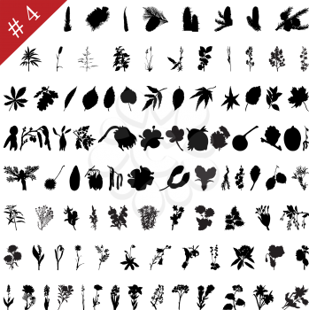 Royalty Free Clipart Image of Plant and Flower Silhouettes