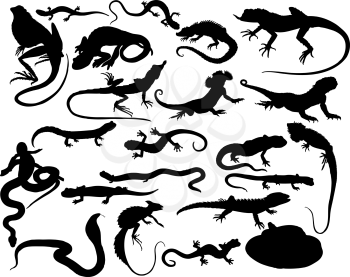 Royalty Free Clipart Image of Reptile Silhouettes