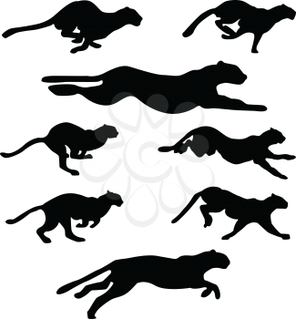 Set of different wildcats running silhouettes for design use