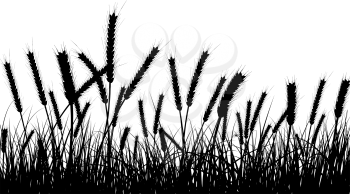 Wheat and gras background. All objects are separated.
