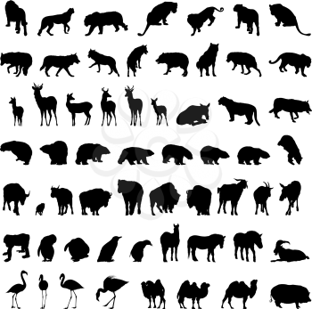 Big collection of different animal silhouettes