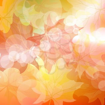 Autumn maples falling leaves background. Vector illustration with trancparency EPS10.