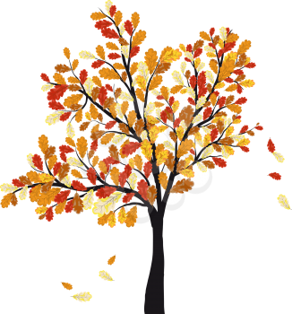 Autumn oak tree with falling leaves. Vector illustration.