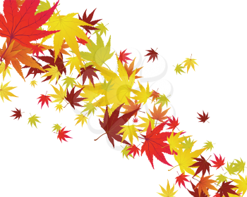 Pattern of autumn  maples leaves. Vector illustration.