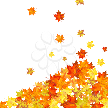 Autumn maple tree leaves heap. Vector illustration.
