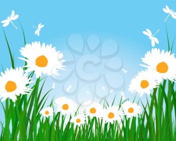 Summer meadow background. EPS 10 vector illustration without transparency.