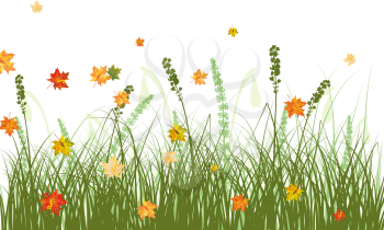 Meadow background with maple leaves. All objects are separated. Vector illustration.