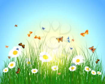 Meadow color background with butterfly and sun. All objects are separated. Vector illustration with transparency. Eps 10.