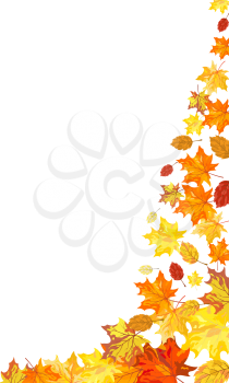 Autumn maple leaves background. Vector illustration without transparency. EPS10.