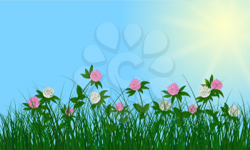 Meadow color background with sun. All objects are separated. Vector illustration with transparency. Eps 10.