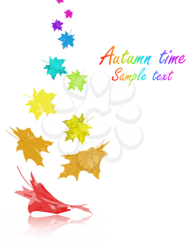 Autumn  frame with falling  maple leaves in rainbow colors on white background. Elegant design with text space and ideal balanced colors. Vector illustration.
