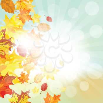 Autumn  Frame With Falling  Maple Leaves on Sky Background. Elegant Design with Rays of Sun and Ideal Balanced Colors. Vector Illustration.