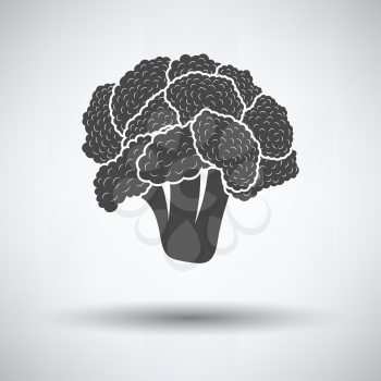 Cauliflower icon on gray background, round shadow. Vector illustration.