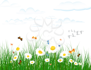 Summer meadow background with tulips. EPS 10 vector illustration with transparency and meshes.