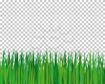 Grass background with transparency grid on back. Vector Illustration.