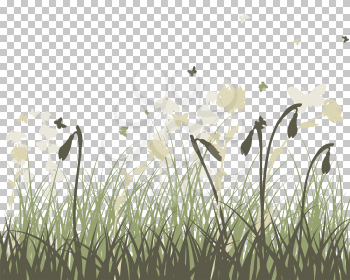 Summer Meadow Background.  Transparency Grid Design. Vector Illustration.