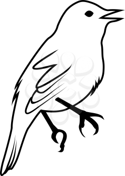 Sketch of Bird. Outline Design.  Vector Illustration.