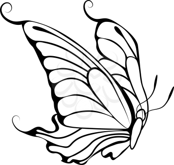 Sketch of Butterfly. Outline Design.  Vector Illustration.