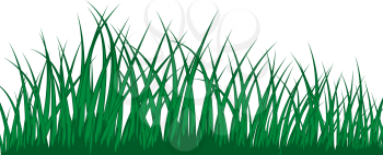 Vector grass silhouette. All objects are separated.