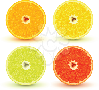 Royalty Free Clipart Image of Slices of Citrus