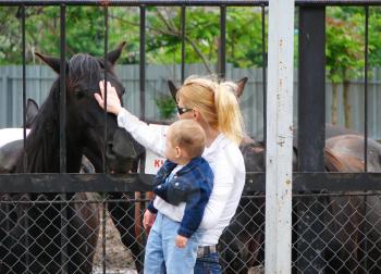 Royalty Free Photo of a Mother and Son Petting a Horse