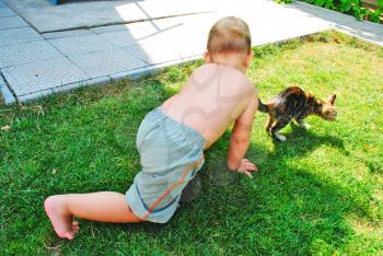 Royalty Free Photo of a Boy Chasing a Cat