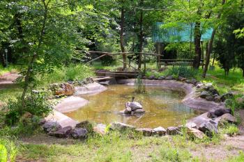 Artificial pond in the village park 