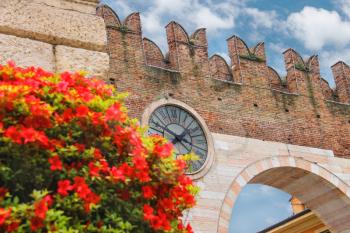 Flowering plants near the medieval city gate in Verona, Italy