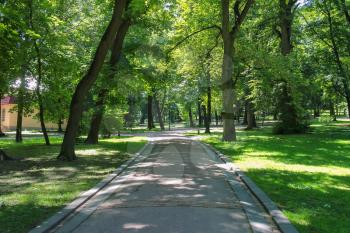 Summer alley in the city park