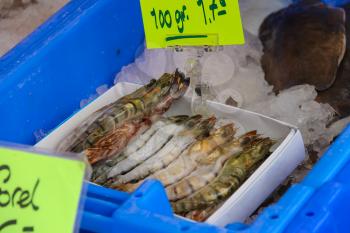 Sale of fresh seafood in the market. The Netherlands