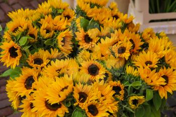 Street flower shop with beautiful sunflower bouquets