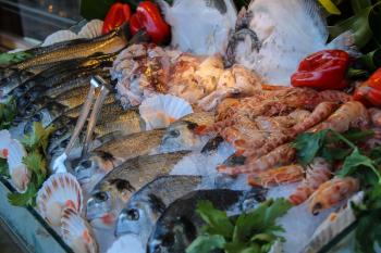Fresh seafood in ice on display case