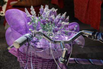 Beautiful bicycle with large decorative basket of lavender flowers in front of it